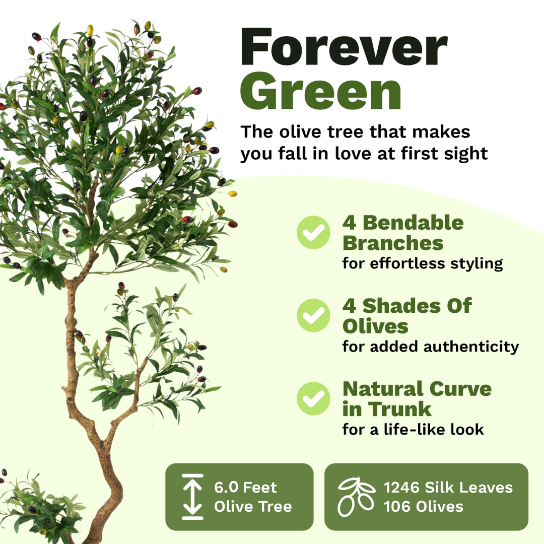 Faux Olive Tree 6 Ft
