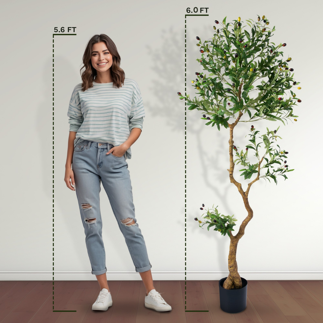Faux Olive Tree 6 Ft