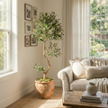 Faux Olive Tree 6 Ft